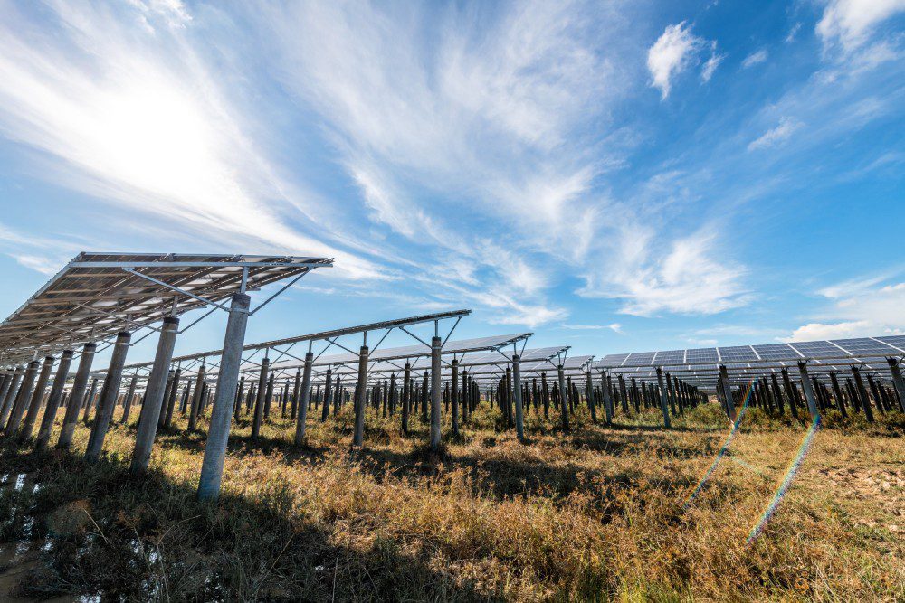 Our fleet of commercial zero-turn crews handles mowing and weed trimming at well sites, gathering stations, plants, refineries, and solar fields